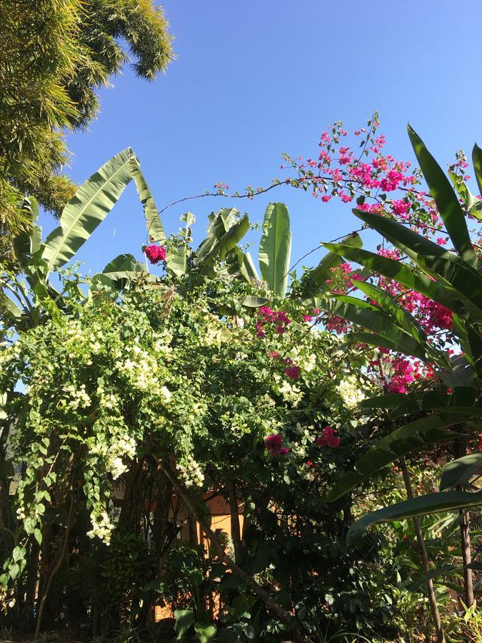 Hidden Paradise Guest House Pokhara Exterior foto