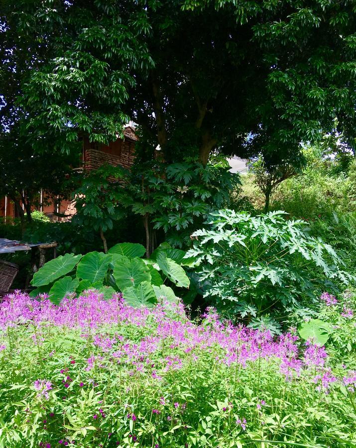 Hidden Paradise Guest House Pokhara Exterior foto